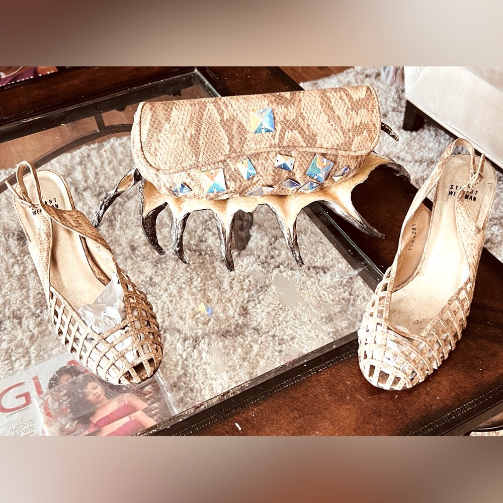 Stuart weitzman Shoe&Bag Set